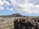 canarie86.JPG