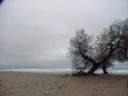 tripcanarie_spagna13.JPG