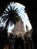 tripcanarie_spagna4.JPG