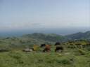 tripcanarie_spagna74.JPG