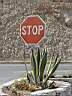 stop.jpg