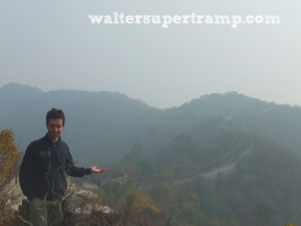 waltersupertramp