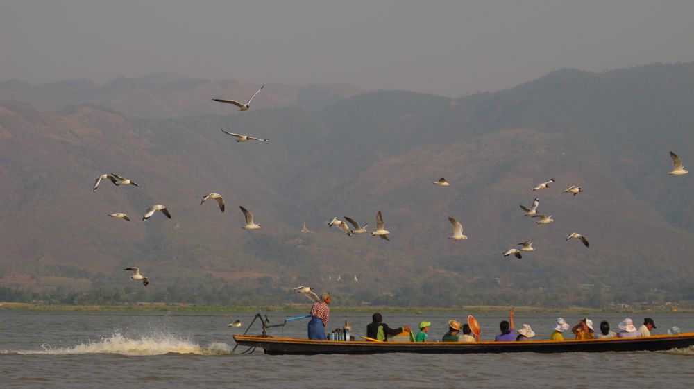 16hitchkok sul lago inle